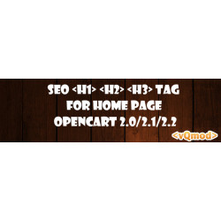 SEO Custom h1 h2 and h3 tags For Home Page Opencart 2
