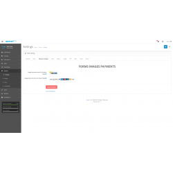 Payments image on Product and Page Footer